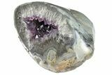 Purple Amethyst Geode - Artigas, Uruguay #151283-1
